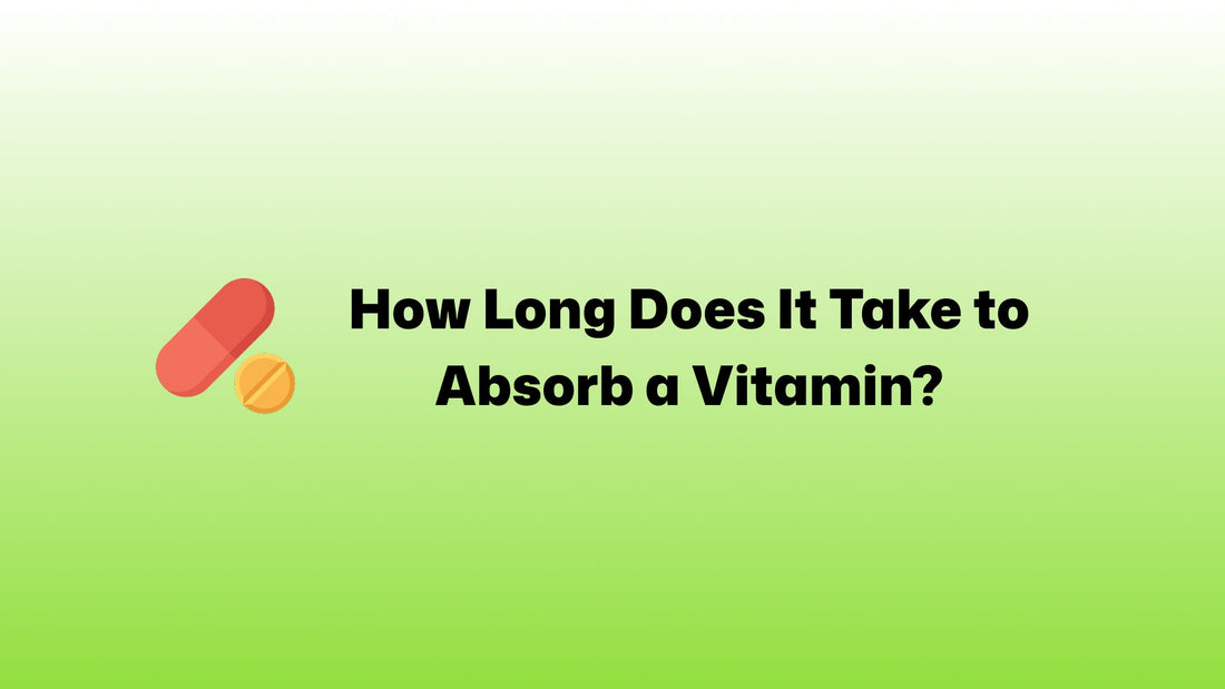 How Long Does It Take to Absorb a Vitamin?