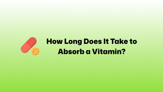 How Long Does It Take to Absorb a Vitamin?